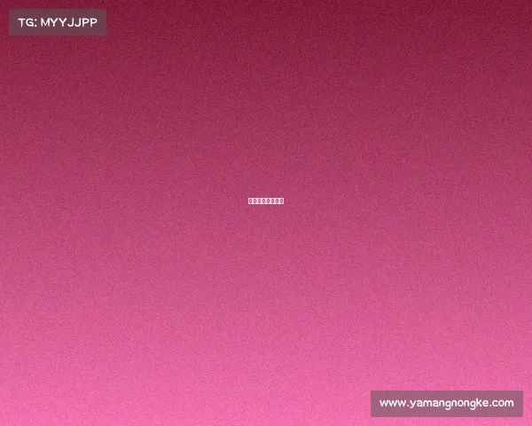 网球最新赛事报道